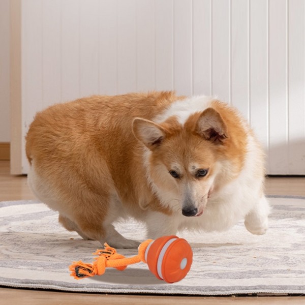 페오펫몰,딩동펫 반려동물 로프 터그공 자동 장난감