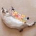 썸네일(스크롤)