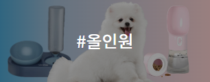 올인원
